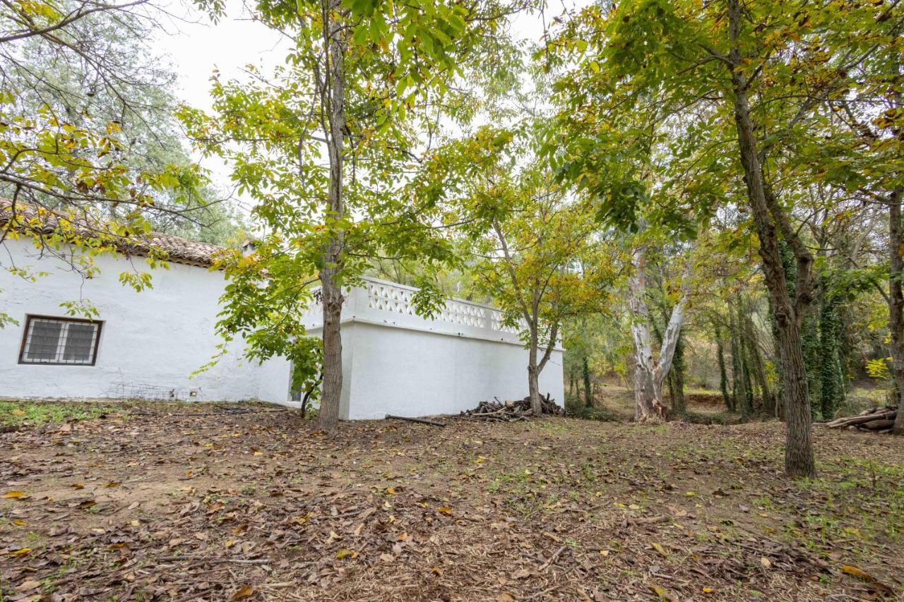 Molino De Gris Cazorla Villa Chilluevar Exterior photo